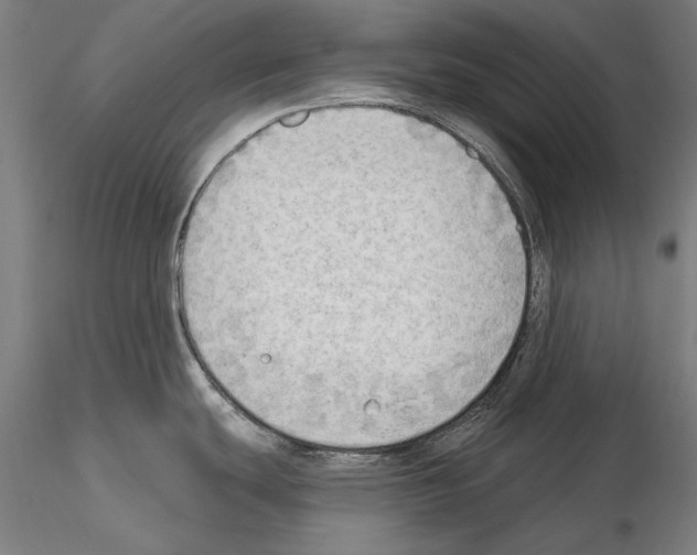 X0000114631439200912011015