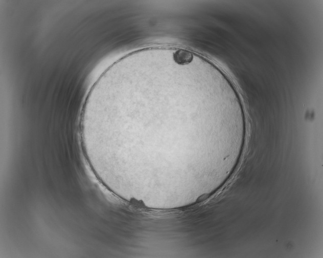 X0000114631440200912011015