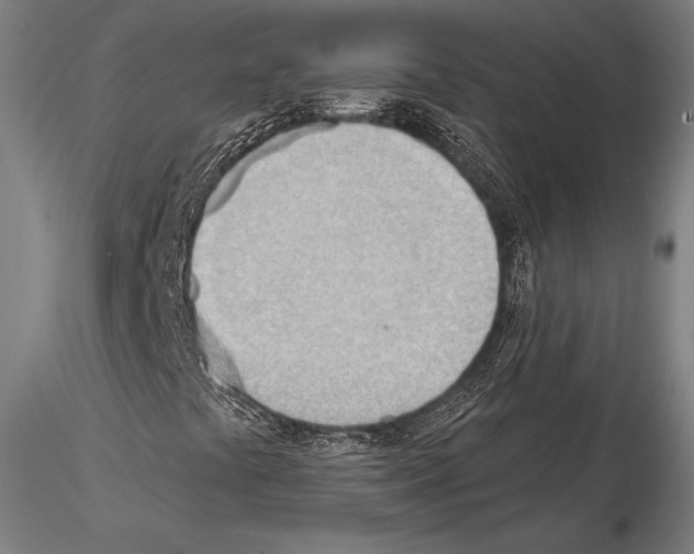 X0000114631441200912011014