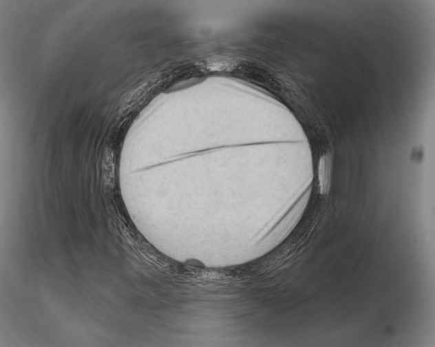 X0000114631443200912011014