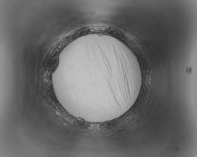 X0000114631445200912011014