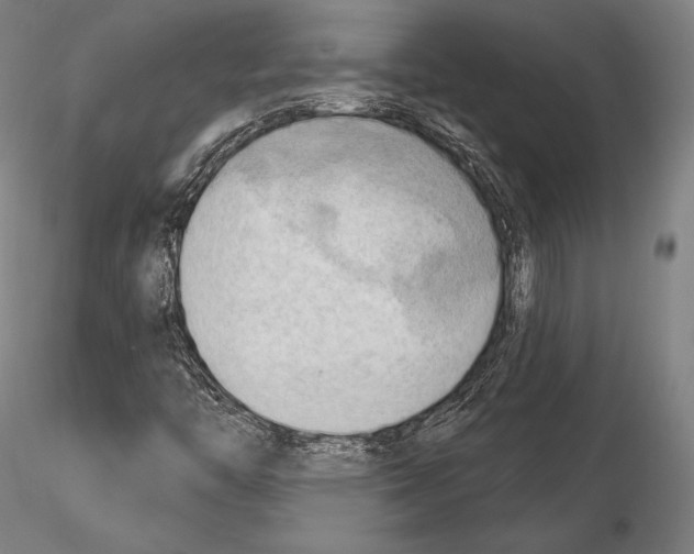 X0000114631446200912011014