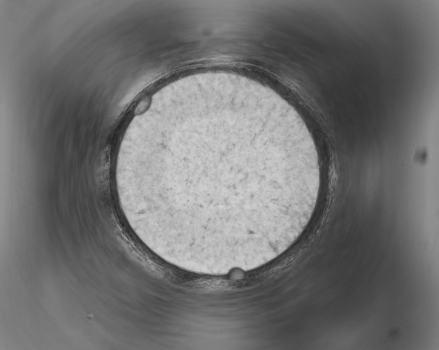 X0000114631450200912011014