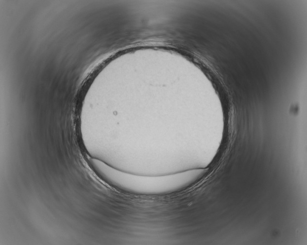 X0000114631452200912011014