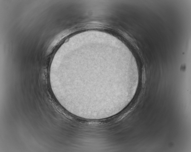 X0000114631453200912011014