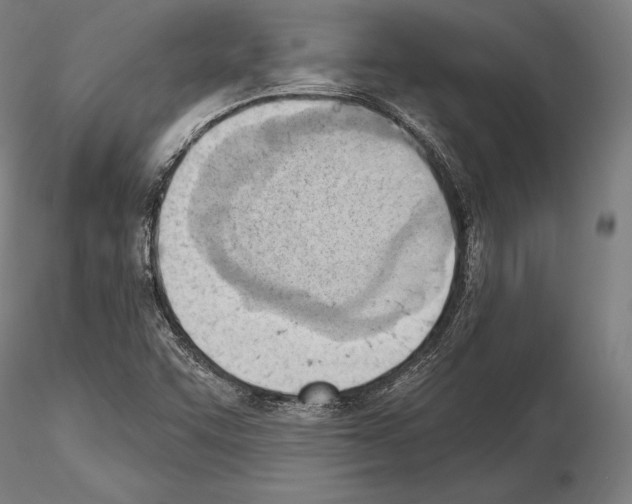 X0000114631455200912011014