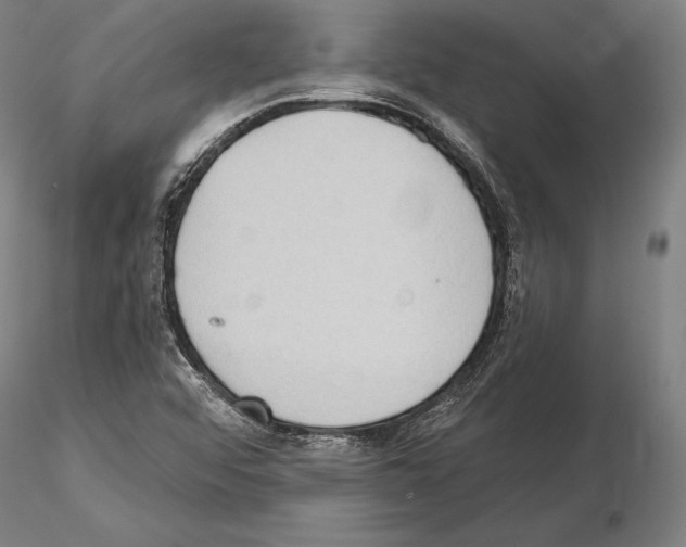 X0000114631456200912011014