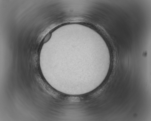 X0000114631457200912011014