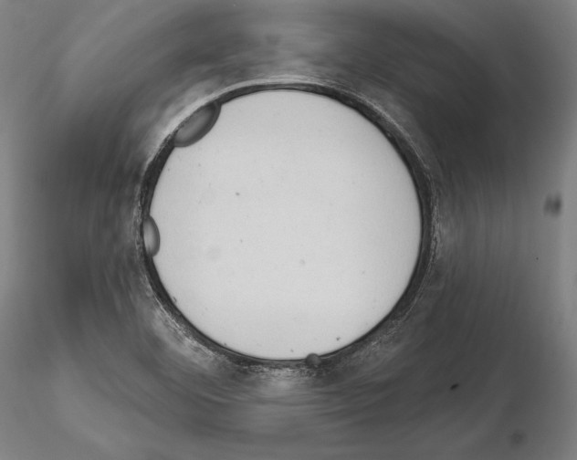 X0000114631460200912011013