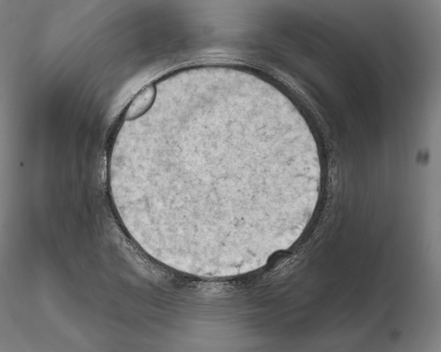 X0000114631461200912011013