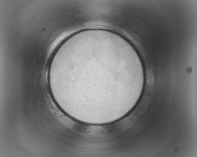 X0000114631462200912011013