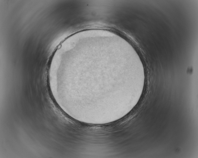 X0000114631463200912011013