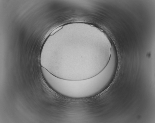 X0000114631465200912011013