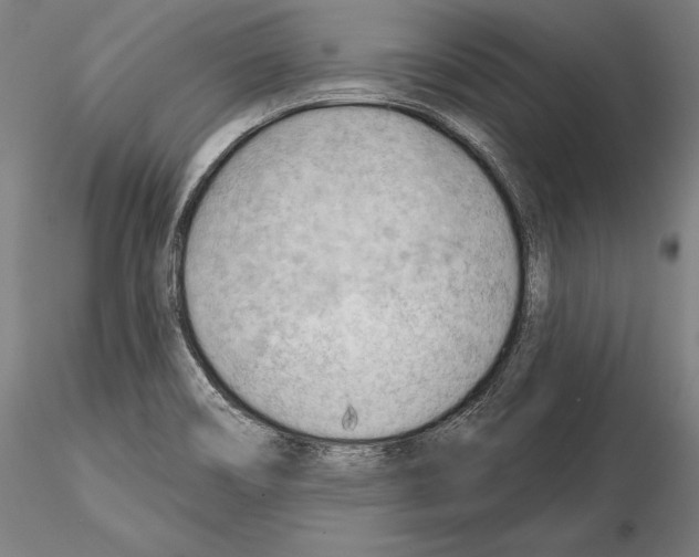 X0000114631466200912011013