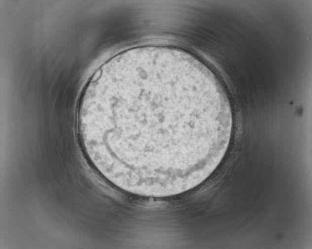 X0000114631467200912011013