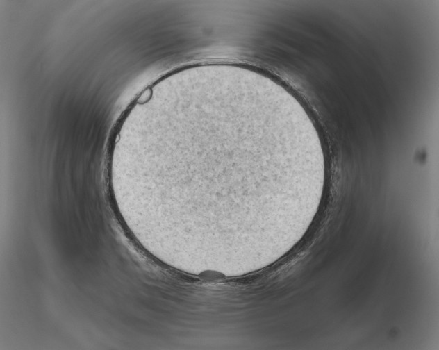 X0000114631469200912011013