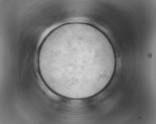 X0000114631470200912011013