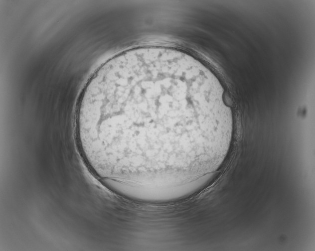 X0000114631471200912011013