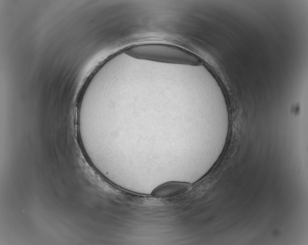 X0000114631472200912011013