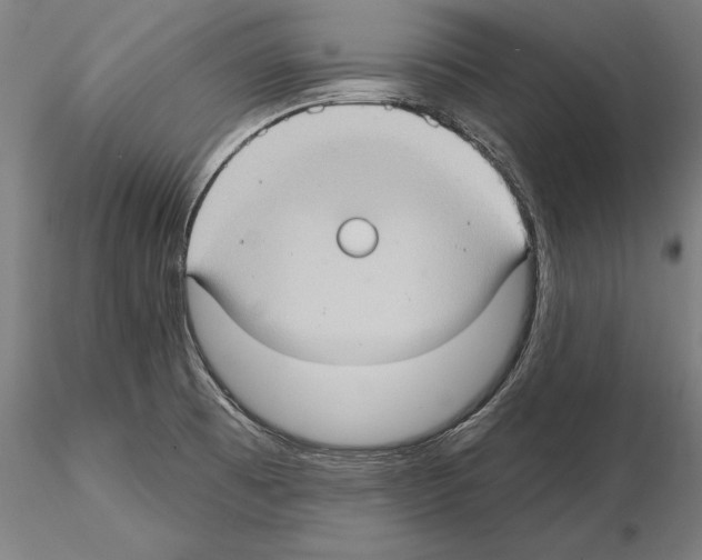 X0000114631473200912011013