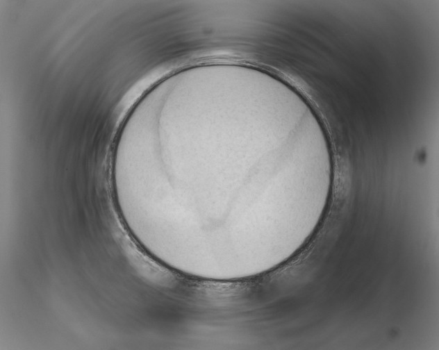 X0000114631474200912011013