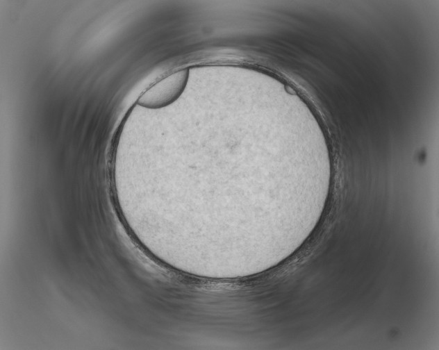 X0000114631475200912011013