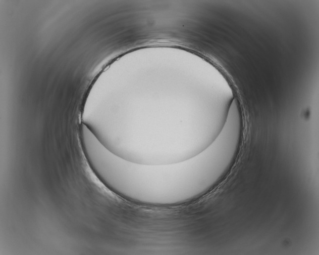 X0000114631476200912011013