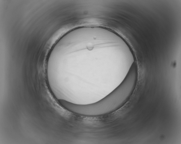 X0000114631477200912011013