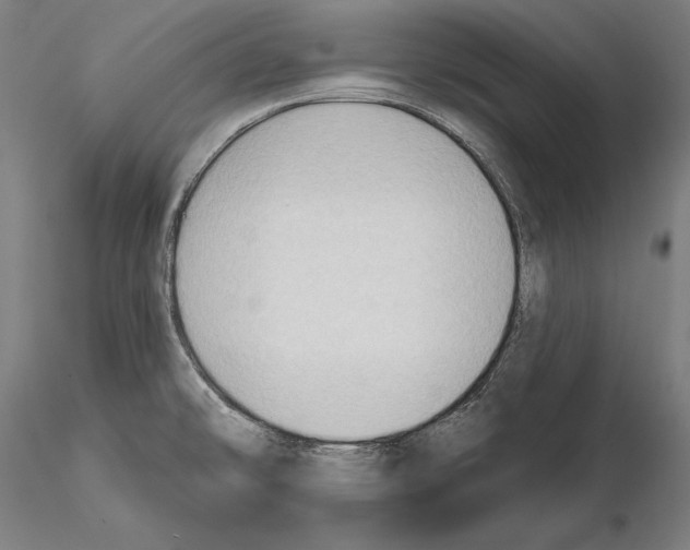 X0000114631478200912011013