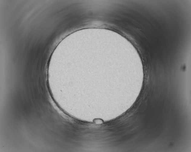 X0000114631479200912011013