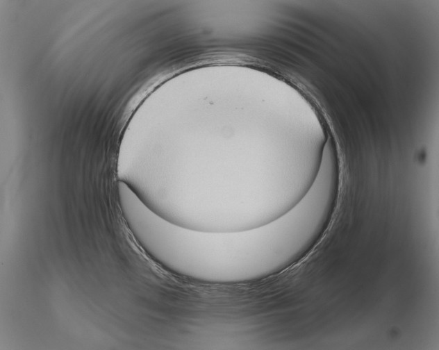 X0000114631481200912011013