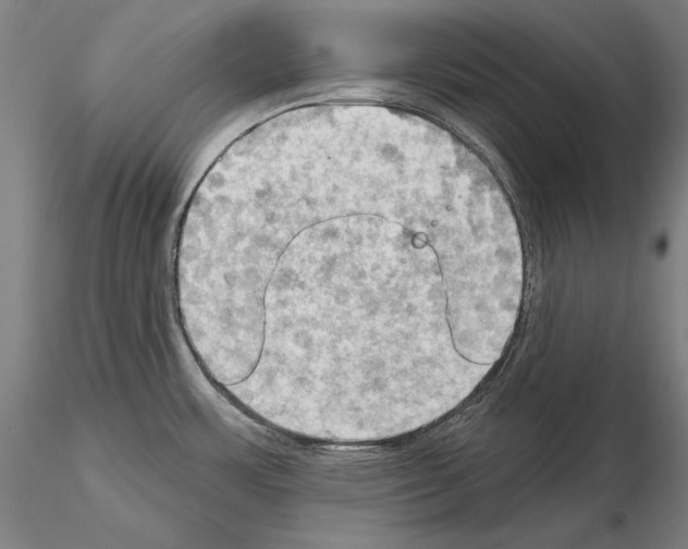 X0000114631483200912011013