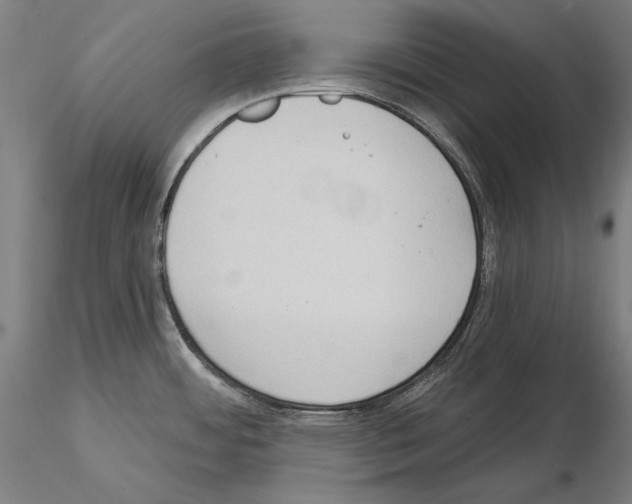 X0000114631484200912011013