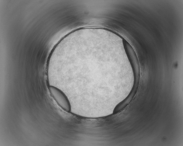 X0000114631485200912011013