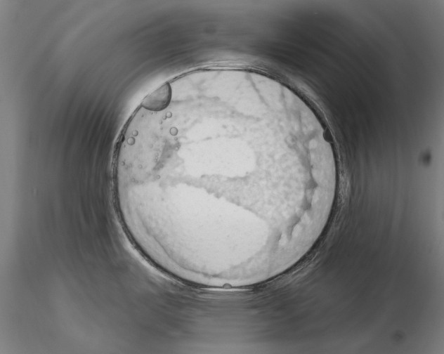 X0000114631487200912011013