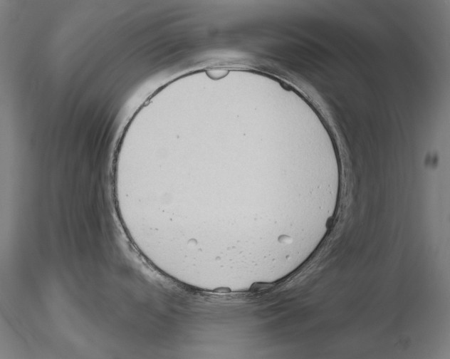 X0000114631488200912011013