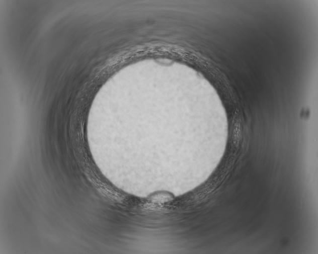 X0000114631489200912011012