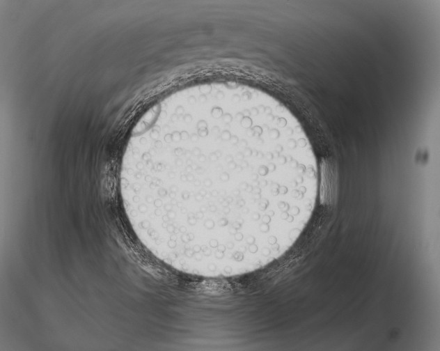 X0000114631491200912011012