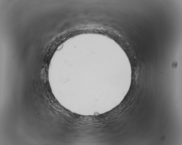 X0000114631493200912011012