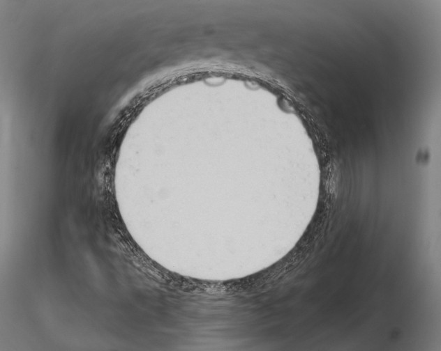 X0000114631495200912011012