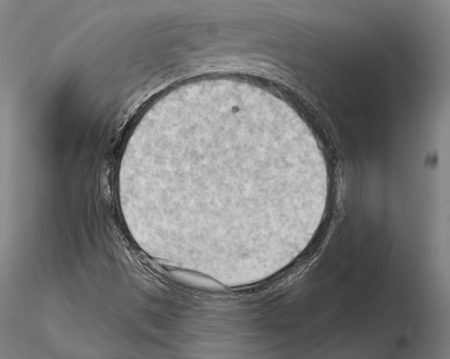 X0000114631497200912011012