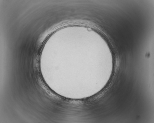 X0000114631498200912011012