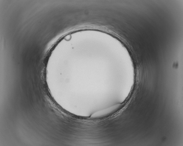 X0000114631502200912011012