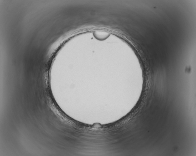 X0000114631503200912011012