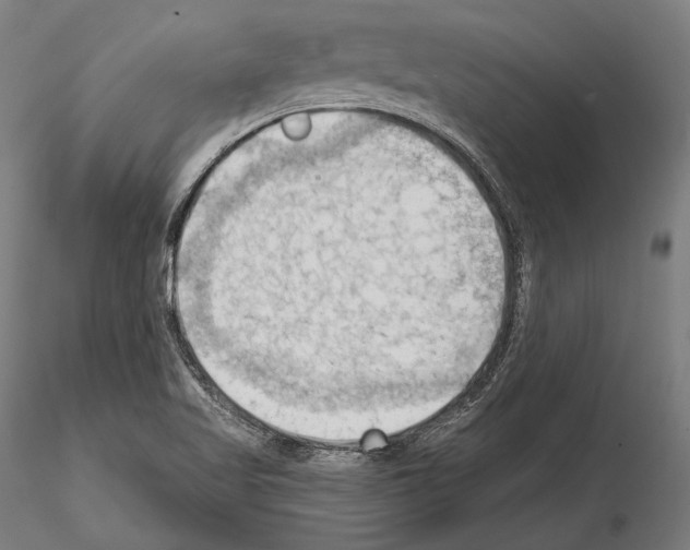 X0000114631509200912011013