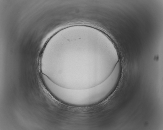 X0000114631510200912011013