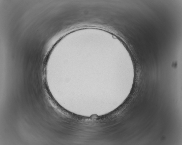 X0000114631511200912011013