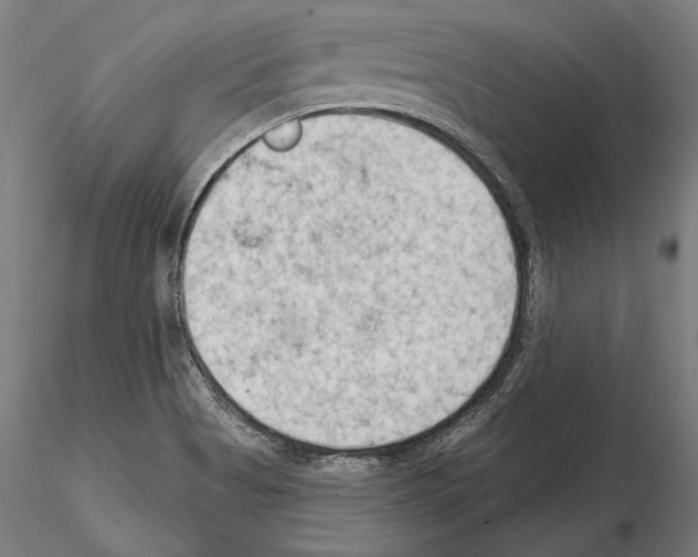 X0000114631513200912011013