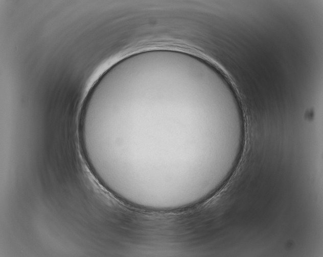 X0000114631514200912011013