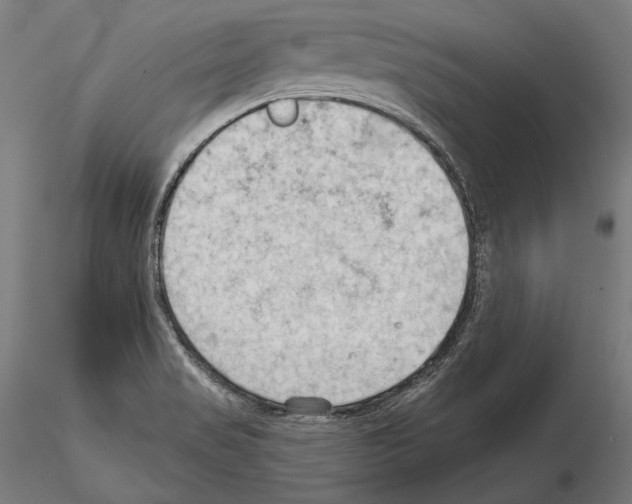 X0000114631517200912011013